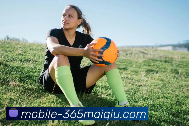 买球官网平台生态图