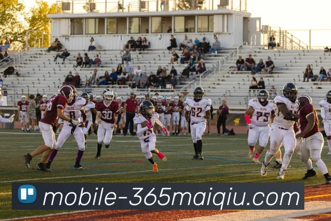 买球官网全站App